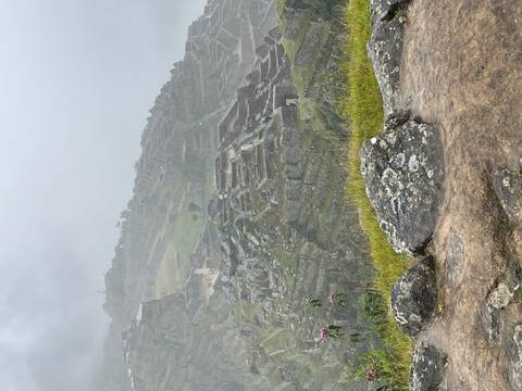       Foggy panoramic view of Machu Picchu terraces and stone ruins clinging to a misty mountainside
  
