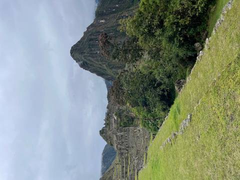       Green mountains and iconic Machu Picchu ruins under clearing skies with lush foreground trees
  