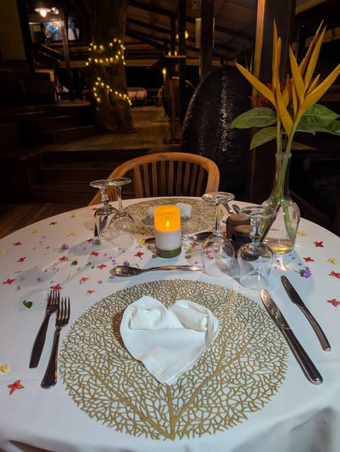       Candle-lit dinner table elegantly set with glassware, plates, and flower petals.
  