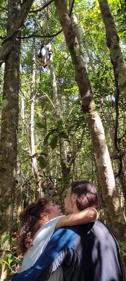       Sun-dappled tropical forest scene with tall thin trees, slightly out of focus.
  