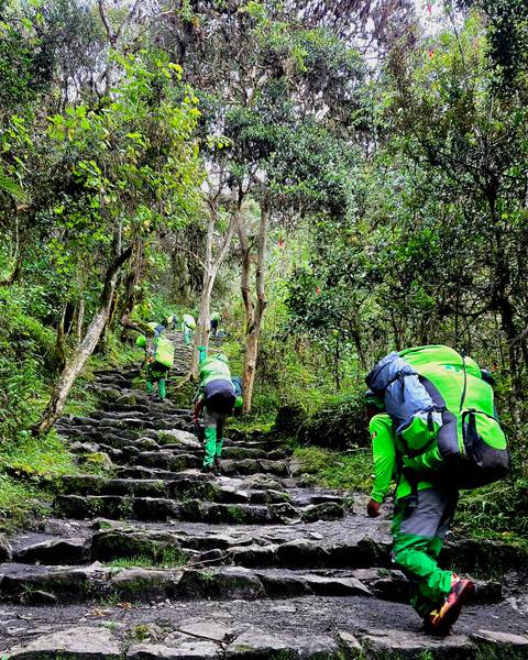       Porters in bright green uniforms climbing steep jungle steps on the Inca Trail
  