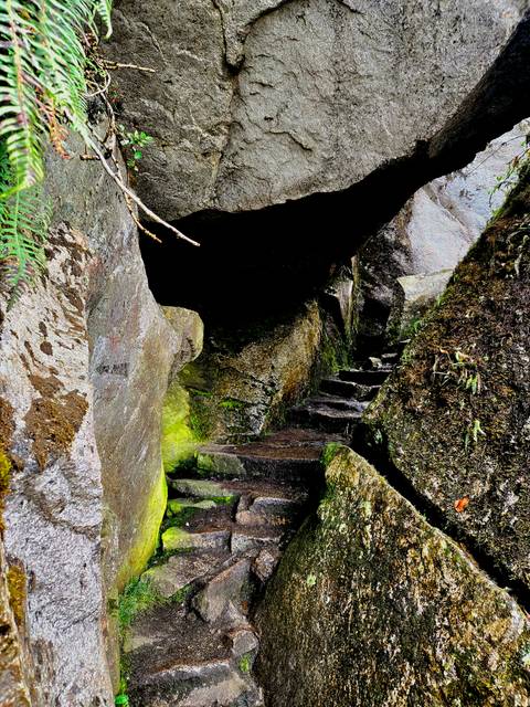       Narrow mossy stone staircase winding through dark boulders and overhangs
  
