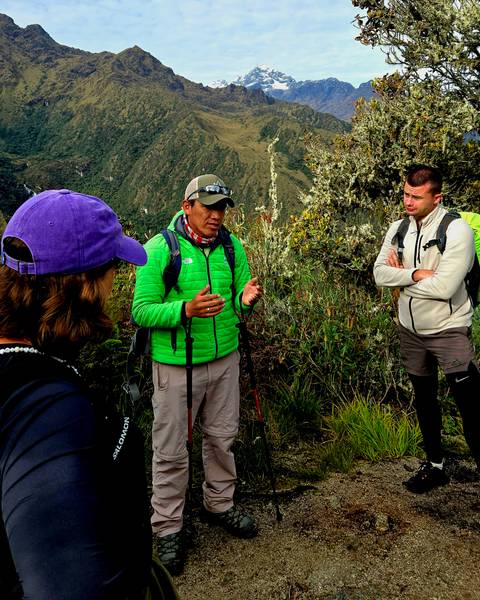       Guide explaining flora to trekkers on a grassy slope of the Andes
  