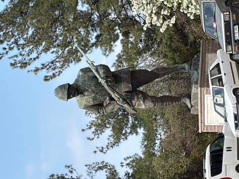      Bronze World War I era soldier statue holding rifle amid pine trees
  