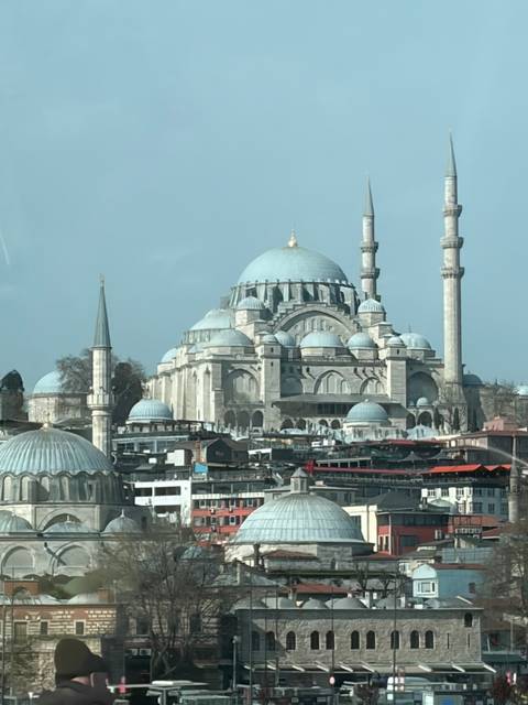       Distant skyline view of massive domed mosque complex with twin minarets
  