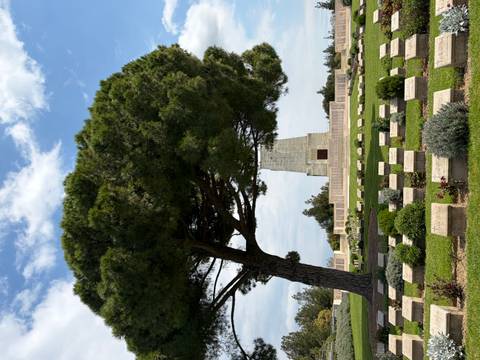       Tree framing Lone Pine cemetery with obelisk-style monument beyond graves
  