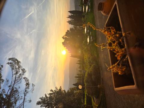       Warm sunset over rolling Tuscan hills with cypress trees, seen from a garden terrace with a planter in the foreground
  