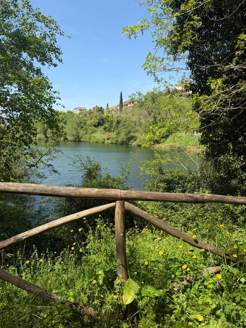       Serene lake bordered by lush trees, viewed over a rustic wooden railing
  
