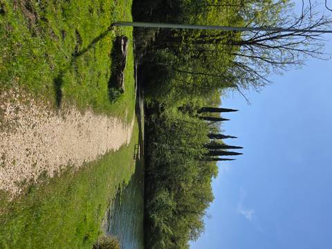       Gravel path leading beside a lake toward a stand of tall cypress trees under a bright sky
  