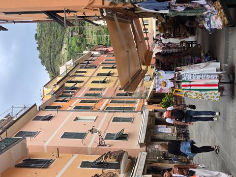       Pedestrian street in Cinque Terre lined with pastel buildings, market stalls and tourists
  