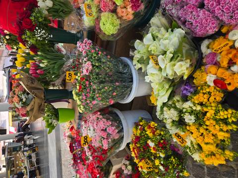       Display of vibrant cut flowers with price tags in a market hall
  