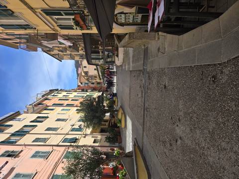       Upward sloping street lined with pastel buildings and shops in a Cinque Terre village
  