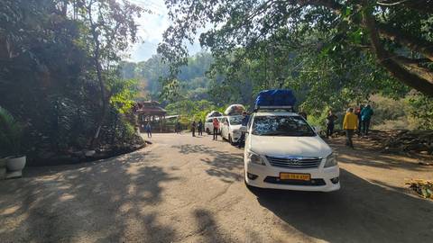       Tour vehicles and travelers gathered under leafy trees on a roadside stop
  
