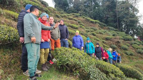       Hikers in colorful jackets pause for a selfie on sloping rows of a tea plantation.
  