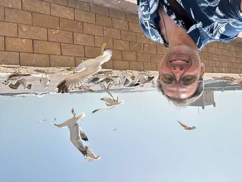       Smiling man taking a selfie as seagulls swoop over the seawall at Essaouira’s windy coast.
  