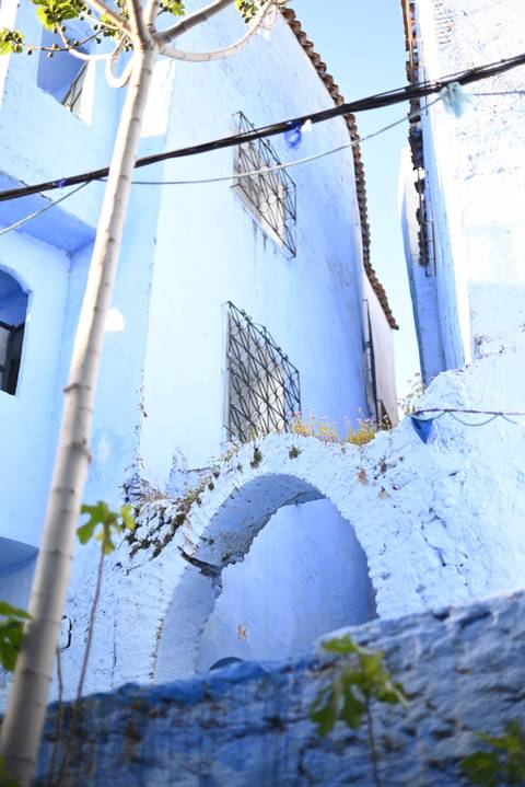       Upward angle of a pale blue building with arched window and small plants growing from the rooftop in Chefchaouen.
  