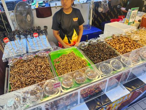       Market stall offering assorted fried insects and larvae in trays
  