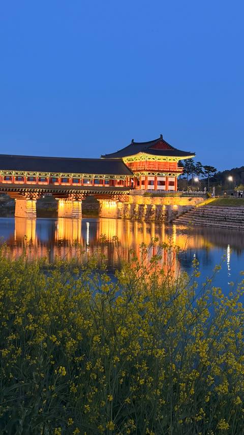      Nighttime reflection of the illuminated Woljeonggyo bridge glowing in warm tones across calm water.
  