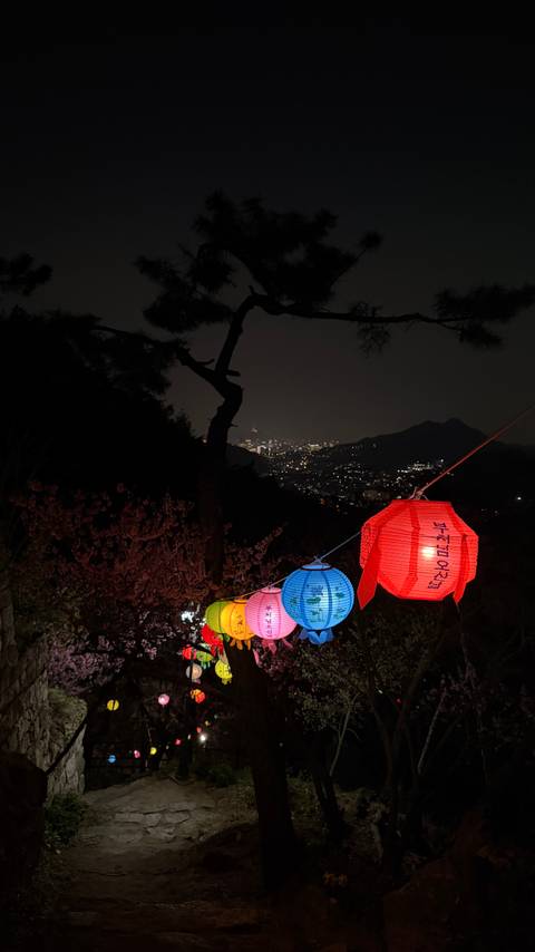       Colourful paper lanterns hanging on a mountain trail overlook a distant night skyline.
  