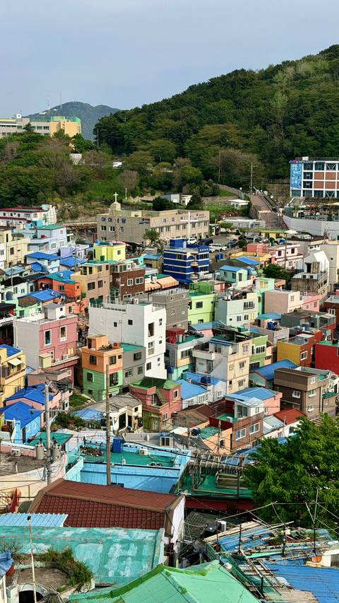       Tightly packed mosaic of colourful box-shaped houses in Gamcheon Culture Village.
  