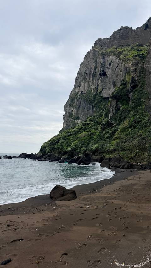       Dramatic volcanic coastal cliff covered in lush vegetation rising above rocky shoreline and gentle waves.
  