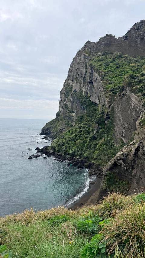       Steep green cliff face meets the ocean with dark rocks and white surf below on an overcast day.
  