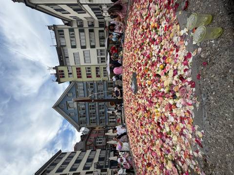       Flower-petal installation covering a fountain in a Zurich old-town square crowded with visitors.
  