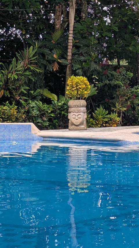       Stone sculpture of a serene face overlooks a clear blue hotel pool framed by lush plants.
  