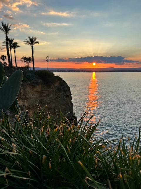       Golden sun sets over tranquil Mediterranean waters with reflection, framed by cliffside plants.
  