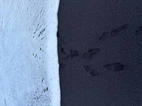       Footprints trail across fine black sand as gentle surf creeps up the beach
  
