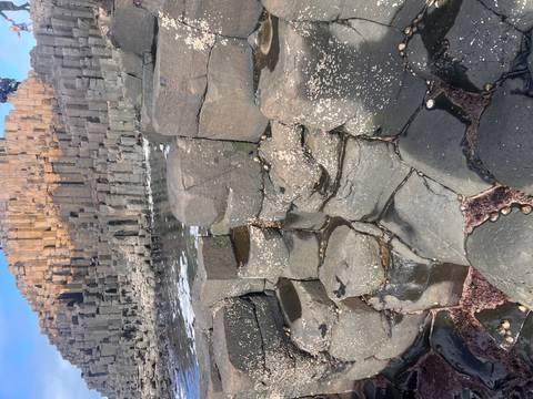       Hexagonal basalt columns of Giant's Causeway rise beside foamy tide pools.
  