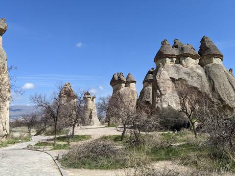       Tall, mushroom-shaped rock formations known as fairy chimneys rising above a sparse landscape under a clear blue sky.
  