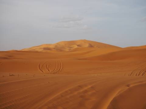       Vast expanse of untouched orange dunes with gentle ripples beneath a pale sky.
  