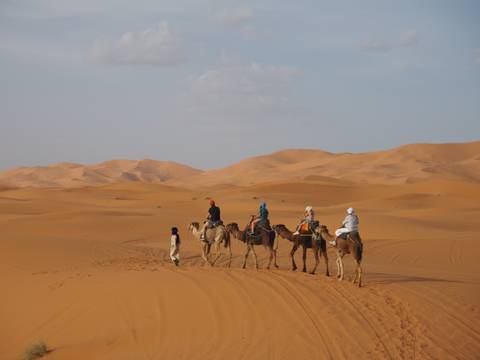       Line of riders on camels traversing the golden dunes of a desert at sunset.
  