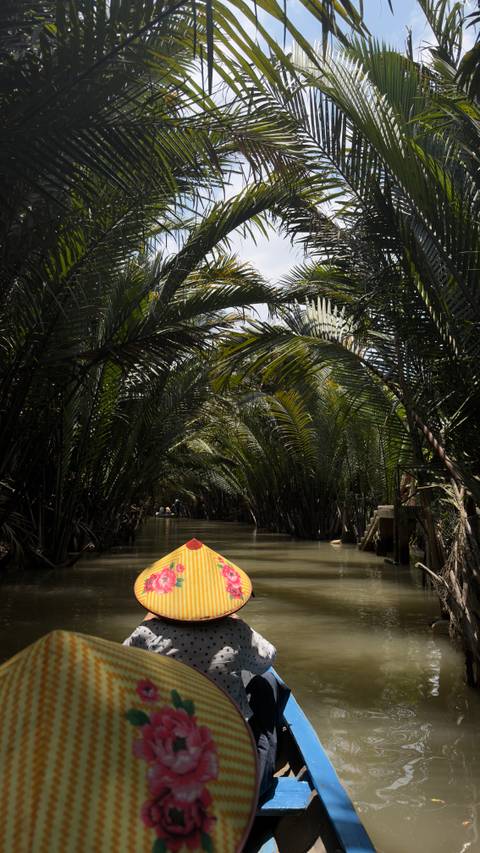       Point-of-view from a canoe entering a dense tunnel of nipa palms on a quiet canal
  