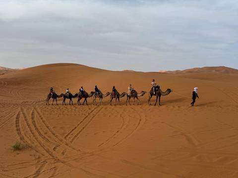       6 Days Deep South In Morocco customer review photo 
  