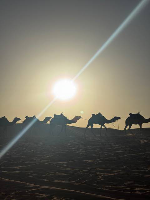       Silhouettes of a camel caravan crossing sun-blasted dunes with intense midday glare.
  
