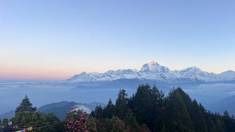       Panoramic dawn view of snow-capped Annapurna range with rhododendrons and misty valleys below.
  