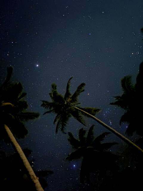       Photo d'avis client sur West Philippines Classic 14 jours - One Life Adventures - Hébergé par Emma 
  