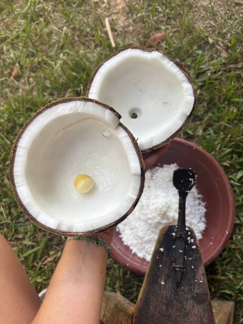       Photo d'avis client sur West Philippines Classic 14 jours - One Life Adventures - Hébergé par Emma 
  