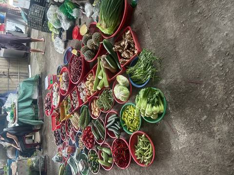       Array of fresh vegetables and spices displayed in red baskets on a market floor while shoppers browse.
  