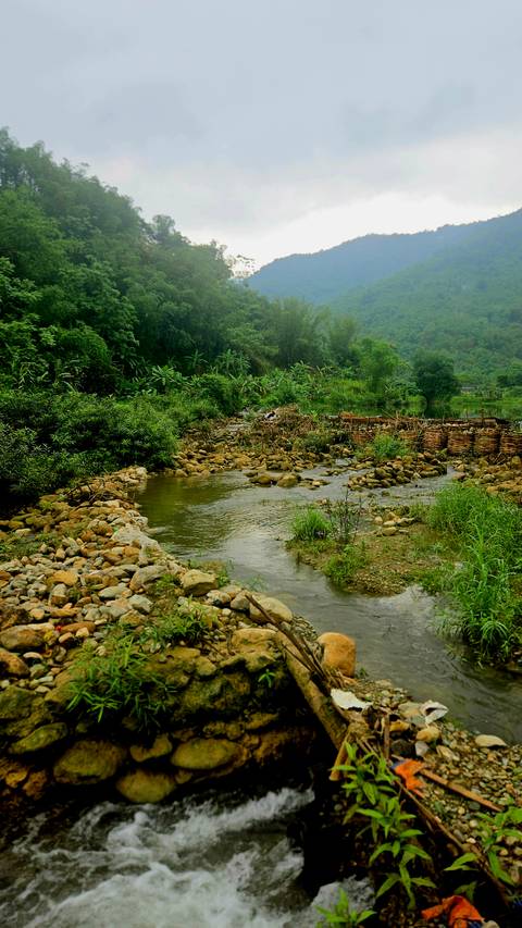       Shallow rocky stream winding through dense tropical greenery in a quiet valley.
  