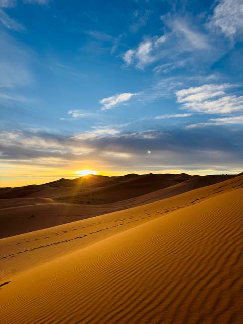       Golden sunrise over rolling Sahara sand dunes casts long shadows and warm light
  