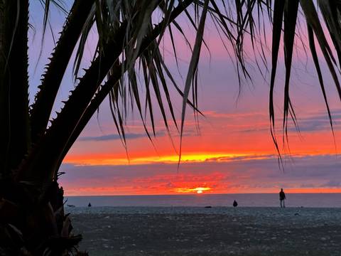       Palm fronds frame a vivid orange and purple sunset over a pebbly beach where a lone person stands at the shoreline.
  