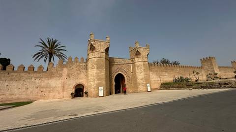       Historic crenellated gate and wall with single palm tree under clear sky
  