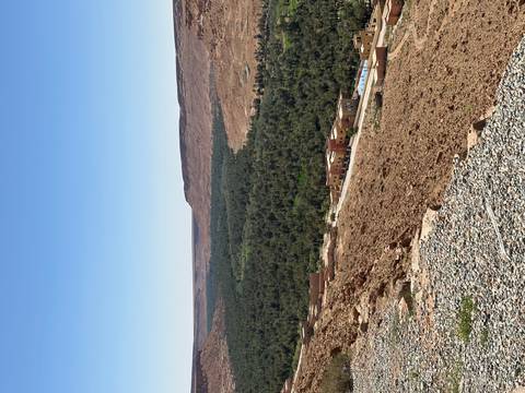       Arid plateau overlooks a lush palm oasis valley and distant mesas
  
