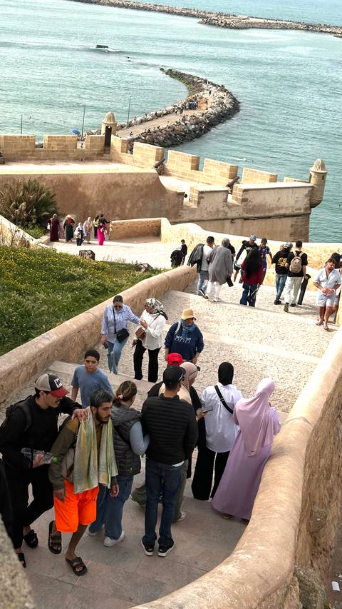       Crowds of locals and tourists climb stone steps beside flowering garden
  