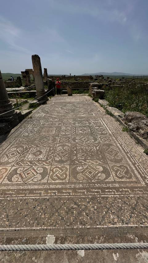       Ancient mosaic tile floor with geometric patterns at Roman site Volubilis
  
