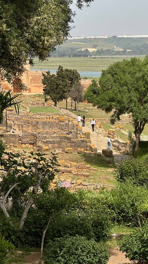       Visitors walk along lichen-covered stone ruins and paths in green landscape
  