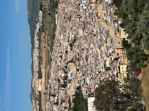       Expansive view over tightly packed historic buildings of Fes from hillside
  
